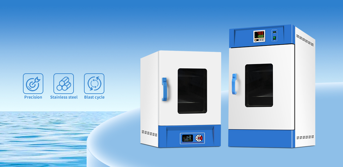 RGL系列鼓风干燥箱