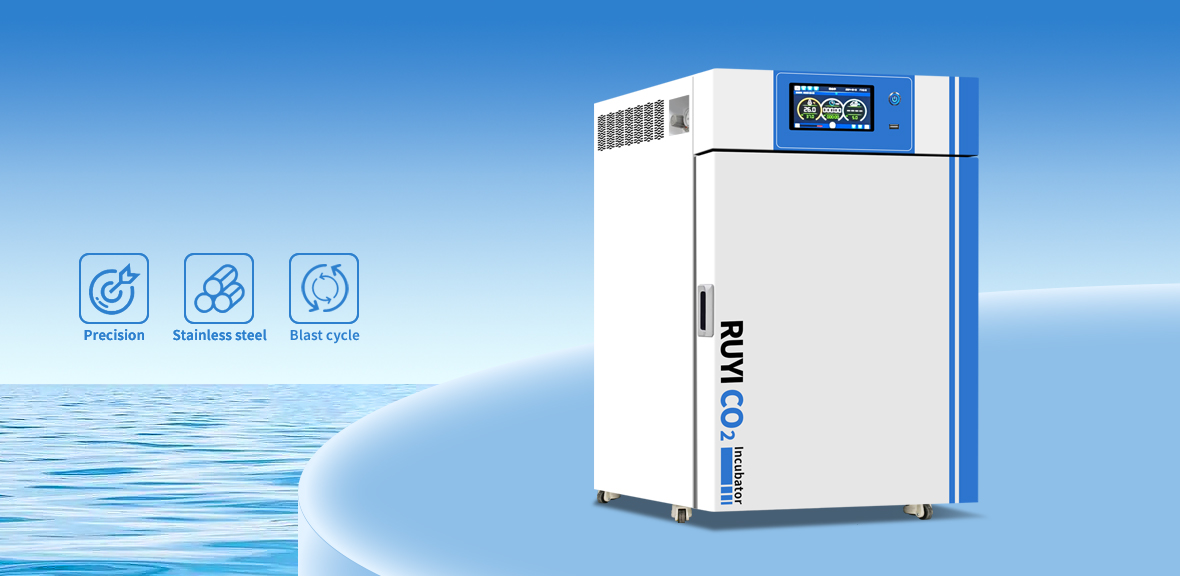 二氧化碳培养箱